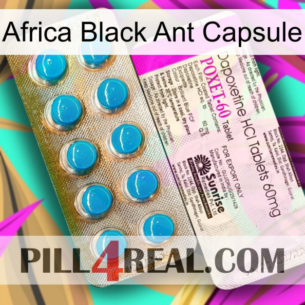 Africa Black Ant Capsule new07.jpg